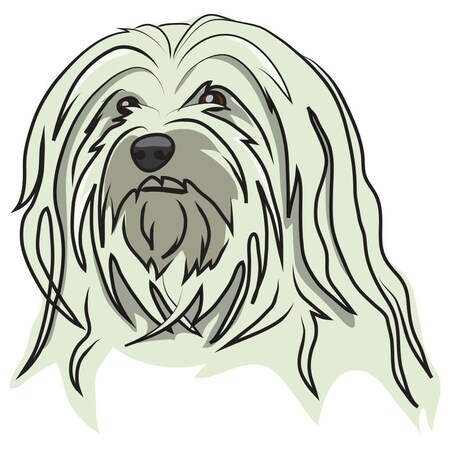 Signmission Havanese Dog Decal, Dog Lover Decor Vinyl Sticker D-12-Havanese